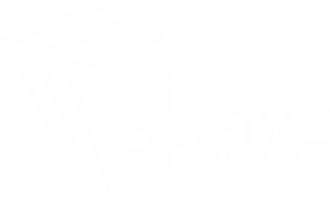 Two Point Five Logo white